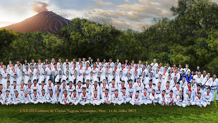 Moonmoo Won-Moo Duk Kwan San Felipe Taekwondo en San Felipe del Progreso