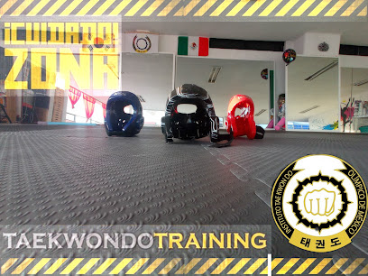 Obw Taekwondo en San Martín Texmelucan