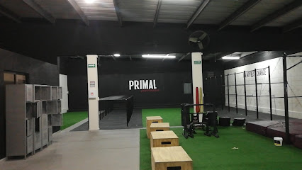 Primal Calisthenics en Mérida
