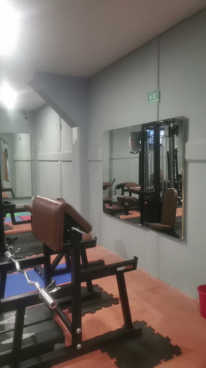 Progym -Ss+ en Zacatecas