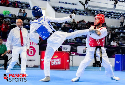 Romeros Cobras Taekwondo en Nogales