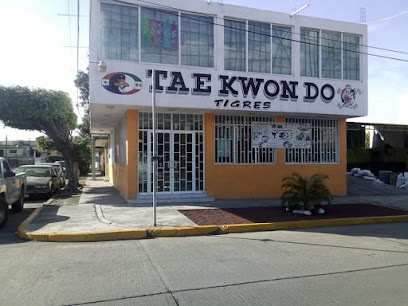Tae Kwon Do Tigres Utam Poza Rica en Poza Rica