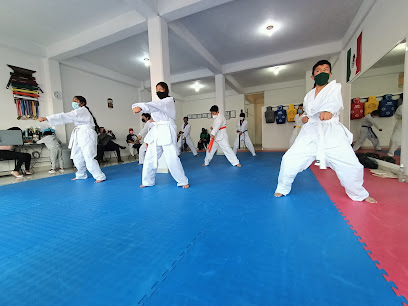Taekwondo Kodanya San Felipe del Progreso en San Felipe del Progreso