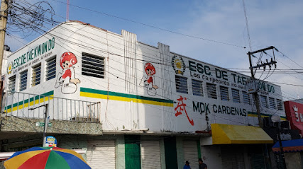 Taekwondo Mdk Cardenas en Cárdenas