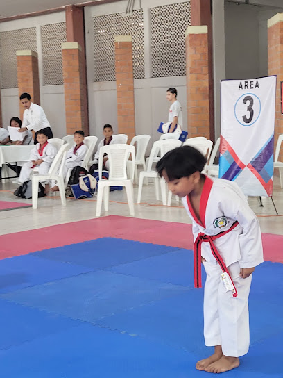 Taekwondo Mdk Leopardos en Comalcalco