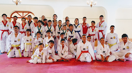 Academia de Tae Kwon Do Barrio Alto, Tula Hgo en Tula de Allende