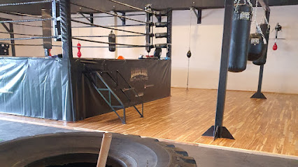 Barracuda Boxing House en Hidalgo