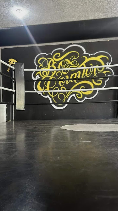 Box Counter San Pedro en San Pedro Garza García