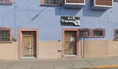Box Training en Dolores Hidalgo