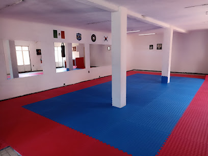 Eagle Park Taekwondo Lagos de Moreno Centro en Lagos de Moreno