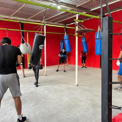 Escuela de Box en Apatzingán