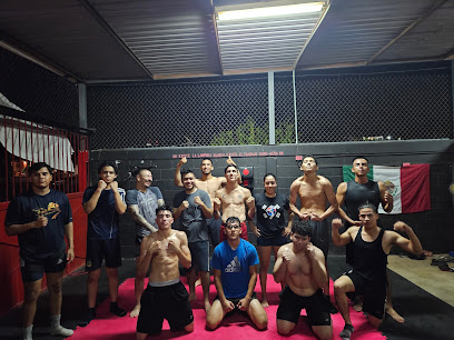 Falcon'smma en Guaymas