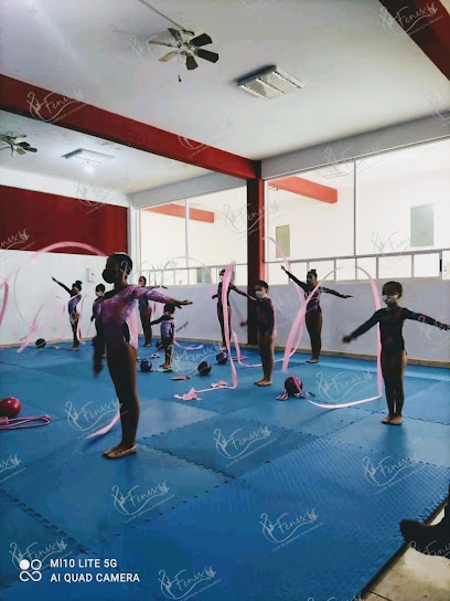 Gimnasia Rítmica Fénix (Moon) Zumpango en Zumpango