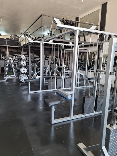Harry Gym Center en Tepatitlán de Morelos