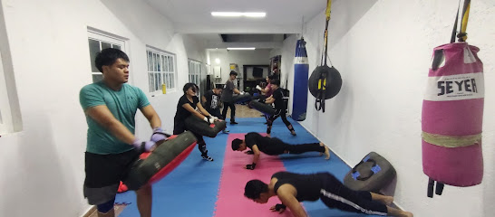 Kick Boxing & Entrenamiento Funcional Guerreros Sma en San Miguel de Allende