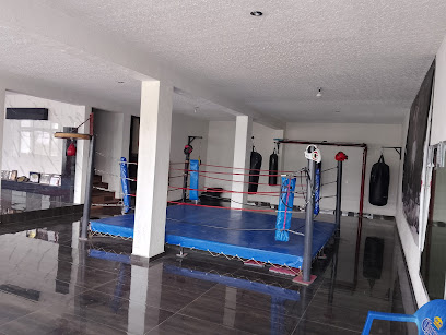 Legión Kraken Escuela de Boxeo y Artes Marciales /Daniri Jiu Jitsu en Amozoc