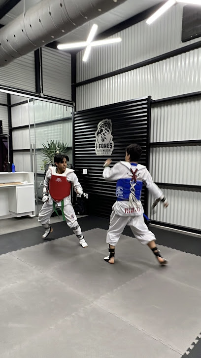 Leones Elite Martial Academy en Ocotlán