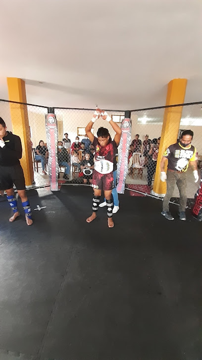 Lion Warrior's Artes Marciales Huauchiango en Huauchinango
