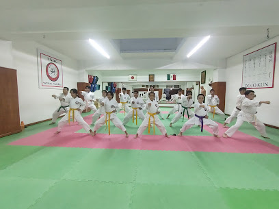 Lsdg Shotokan Atlacomulco (Karate Do Shotokan) en Atlacomulco