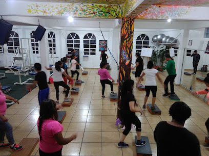 Metropolis Gym en Tultepec