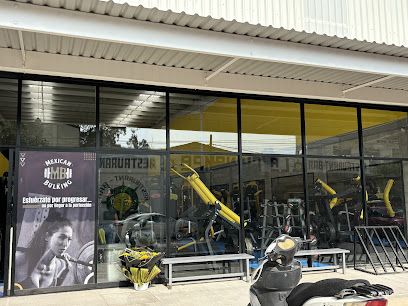 Mexican Bulking en Texcoco