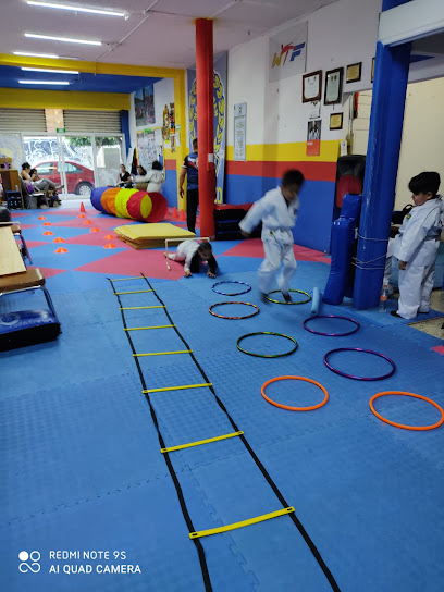 Moo Duk Kwan Texcoco en Texcoco