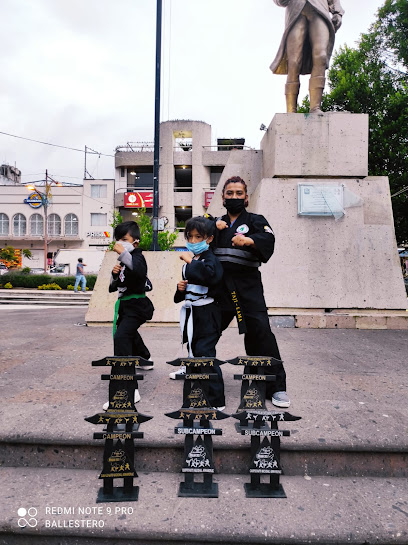Organizacion de Artes Marciales Taji-Lama en Hidalgo