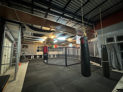 Rhinos Mma y Taekwondo en Huauchinango