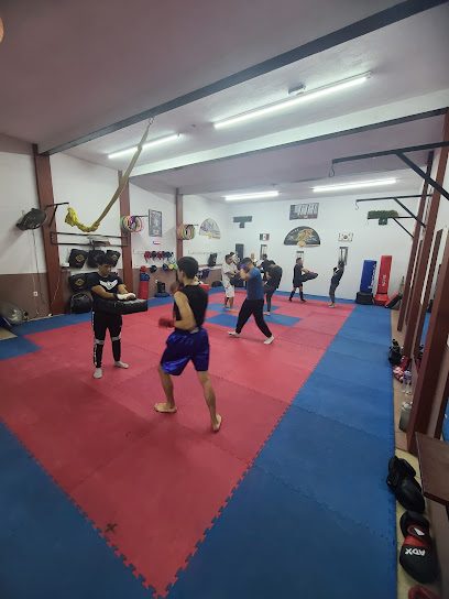 Taekwondo y Kick Boxing Dojang Elite en Tepatitlán de Morelos