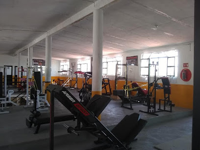 Vicenteño Gym en Lagos de Moreno