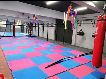 A.D.A.M Academia de Artes Marciales en Orizaba