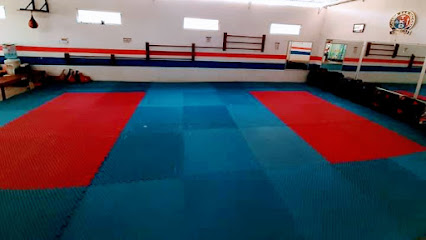 Academia Nacional de Tkd Tuxpan en Tuxpan