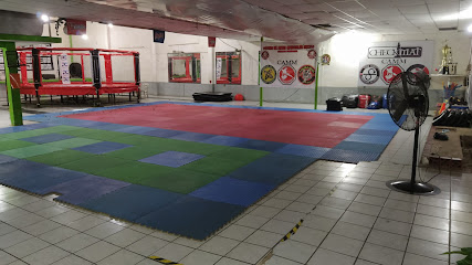 Artes Marciales Mixtas Carlos Paniagua en Minatitlán