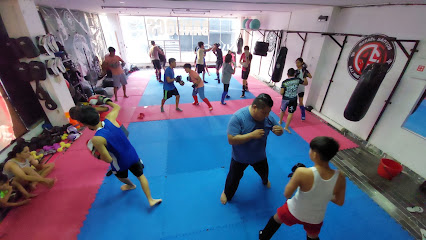 Bandogs Fight Club Mma en Martínez de la Torre