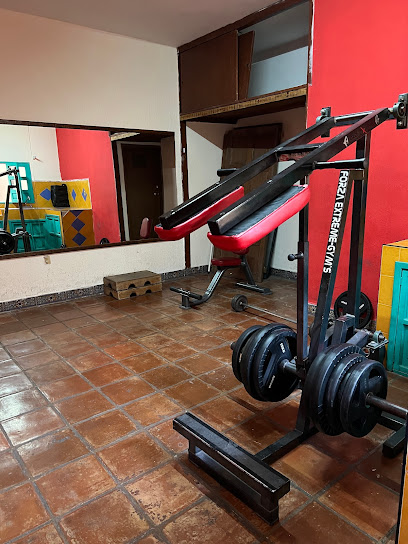 Borregos Gym en Guanajuato