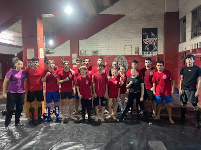 Elam Filo Barba Mma en Navojoa