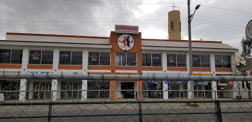Fitness Gym Real del Valle en Tlajomulco