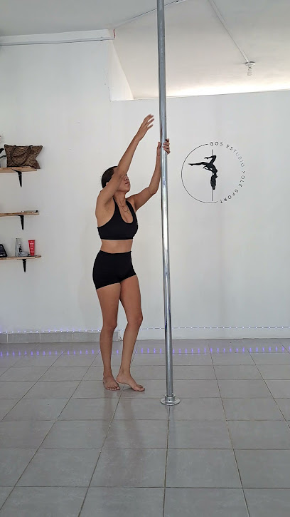 Gos Estudio Pole Sport en Cd. Mante