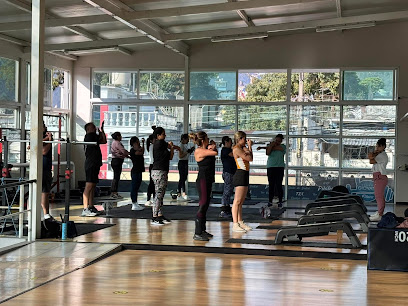 Insanefit Orizaba en Orizaba