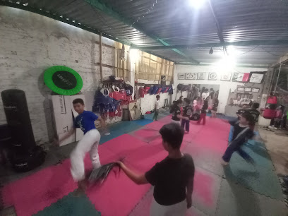 Ki Do Fighting Revolution Tae Kwon Do en Martínez de la Torre