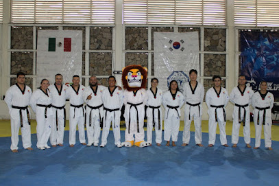 New Evolution Taekwondo El Salto en El Salto