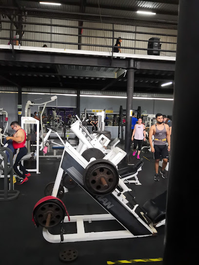 Power Gym Tec en Tecomán