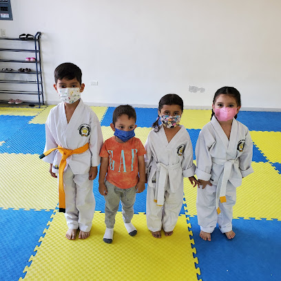 Taekwondo Académia en Navojoa