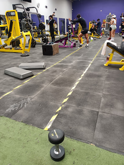 The Lab Fitness & Health en Silao
