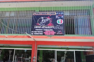 Fenix Jiu Limbo Periferico en Iguala de la Independencia