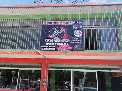 Fenix Jiu Limbo Periferico en Iguala de la Independencia