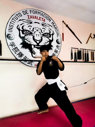 Instituto de Formación Marcial Kung Fu en San Luis Río Colorado
