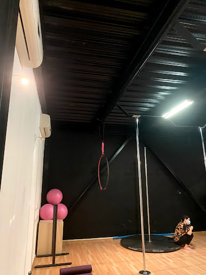 Just Dance Pole & Fitness Club en San Luis Río Colorado