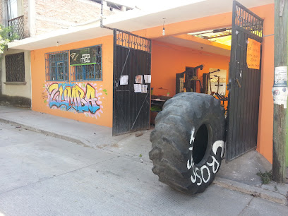 Mastache's Gym en Iguala de la Independencia