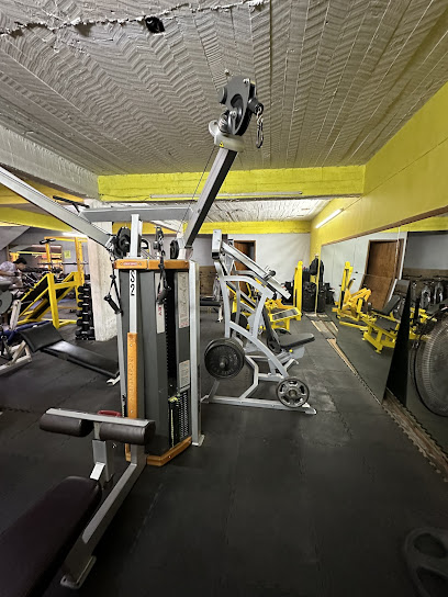 Move Out Now Gym en Guanajuato